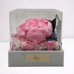 the poeny queen preserved flower box