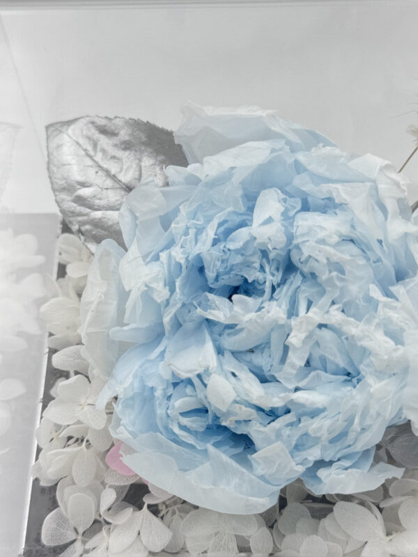 preserved fresh flower gift the poeny queen in blue