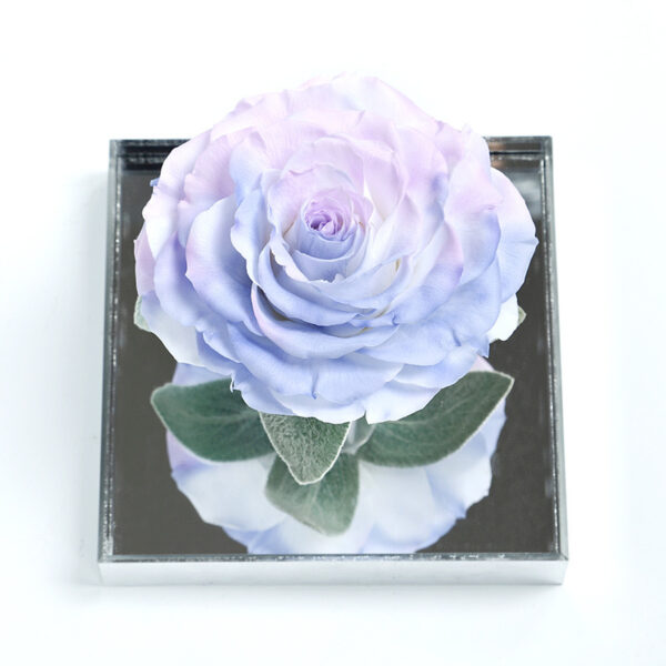 Solo Unique Preserved Rose Box - Image 2