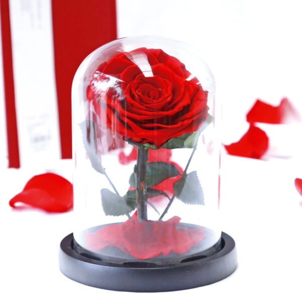 My Only Rose - Image 3