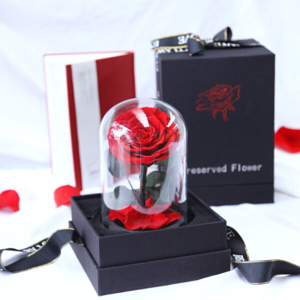 My Only Rose - Image 2