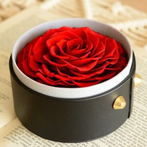 preserved huge rose flower in a box
