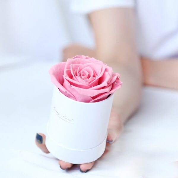 Single Preserved Rose Mini Round Box (Baby Pink)