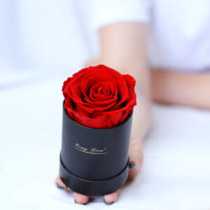 photo of mini single preserved rose